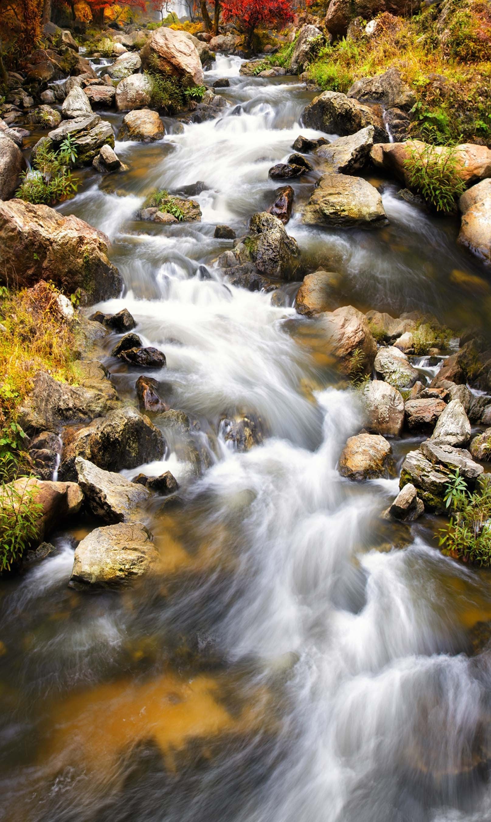 3D Flowing Creek Stones 1358 Stair Risers Wallpaper AJ Wallpaper 