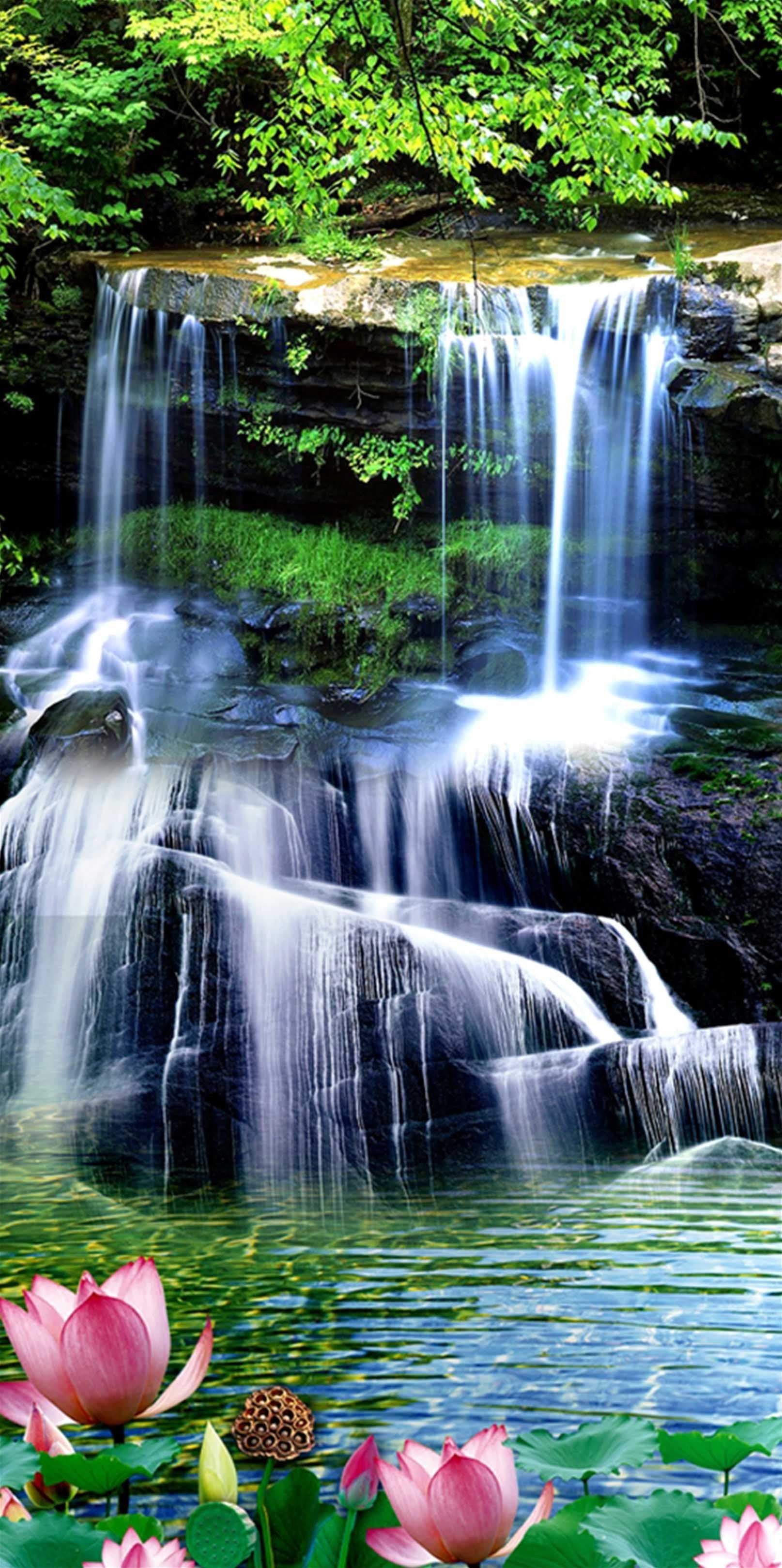 3D Clear River Waterfalls 1355 Stair Risers Wallpaper AJ Wallpaper 