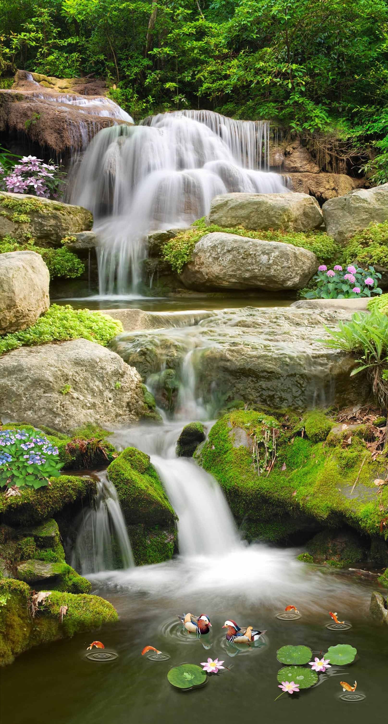 3D Creek Mandarin Ducks 410 Stair Risers Wallpaper AJ Wallpaper 