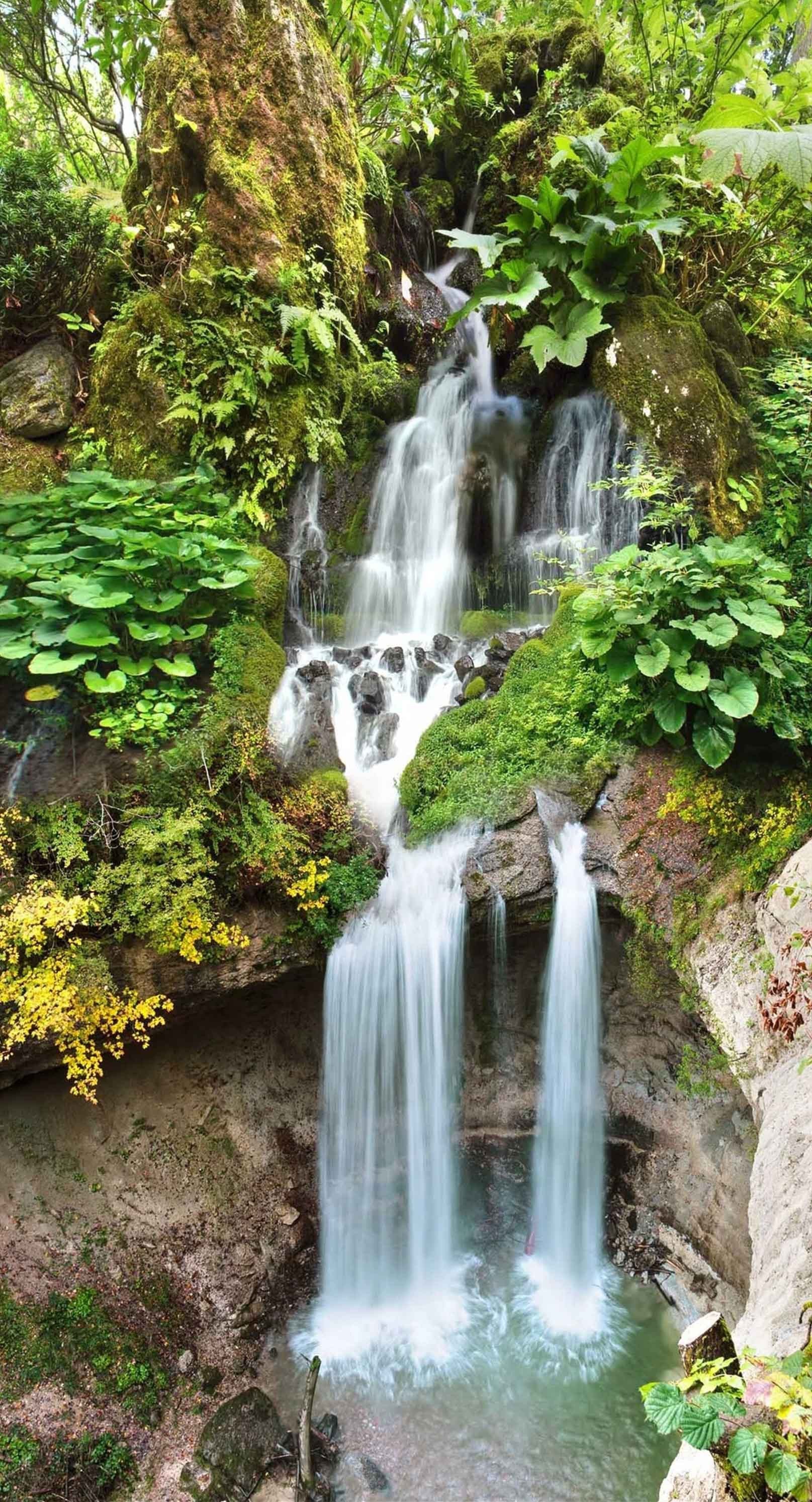 3D Falling Creek Green Plants 411 Stair Risers Wallpaper AJ Wallpaper 