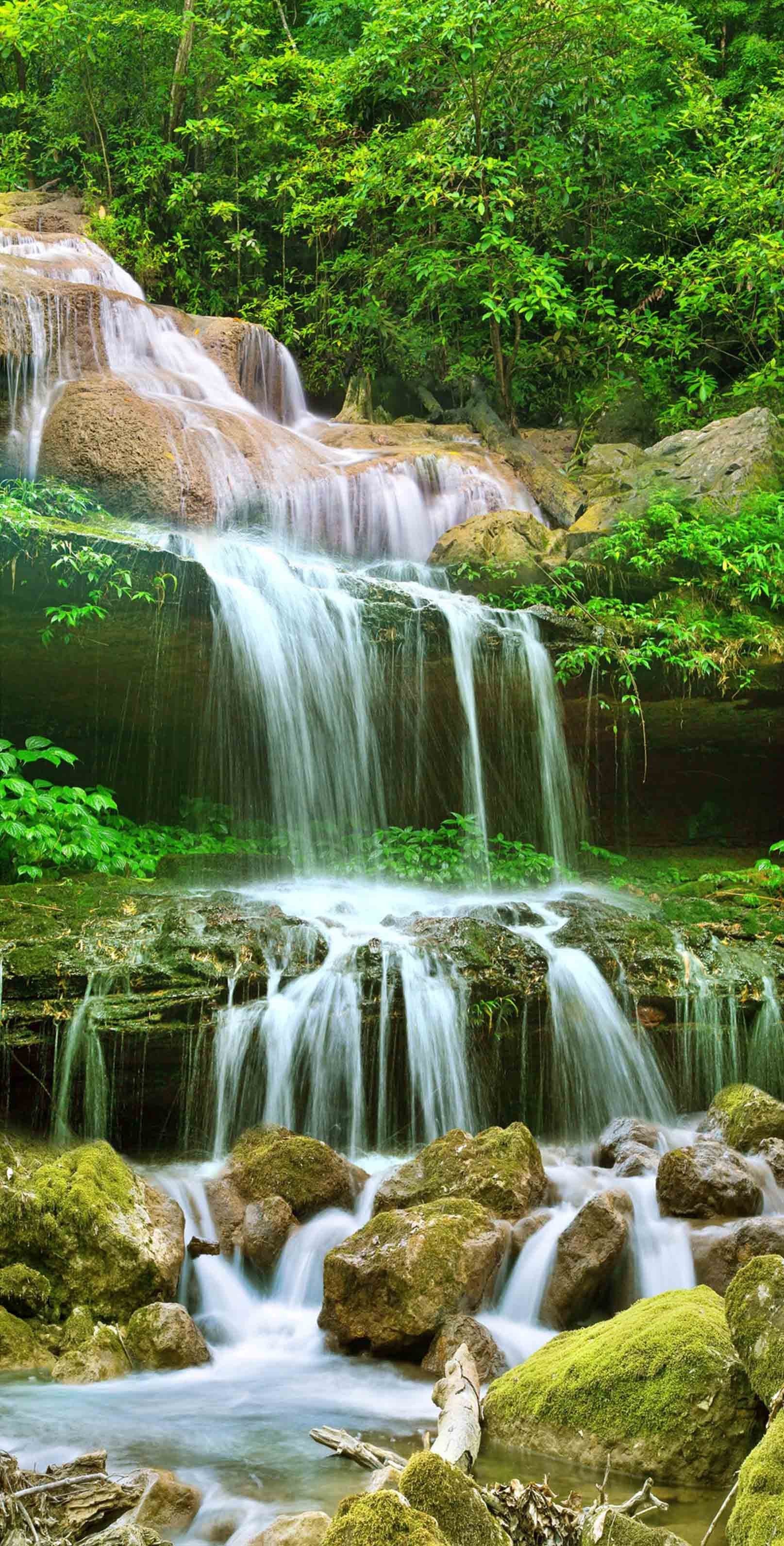 3D Mountain Spring Creek 409 Stair Risers Wallpaper AJ Wallpaper 