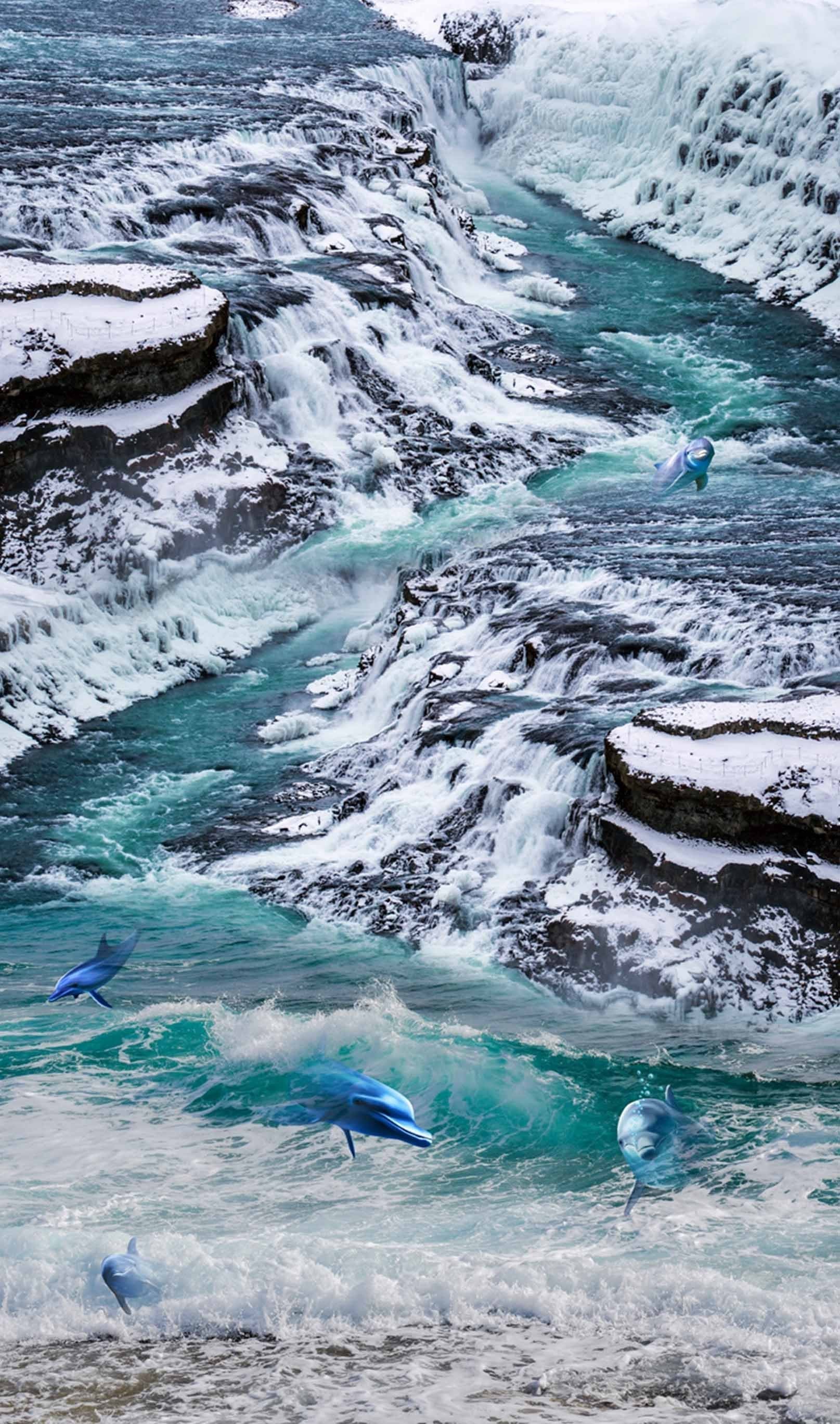 3D Grand River Dolphins 1468 Stair Risers Wallpaper AJ Wallpaper 