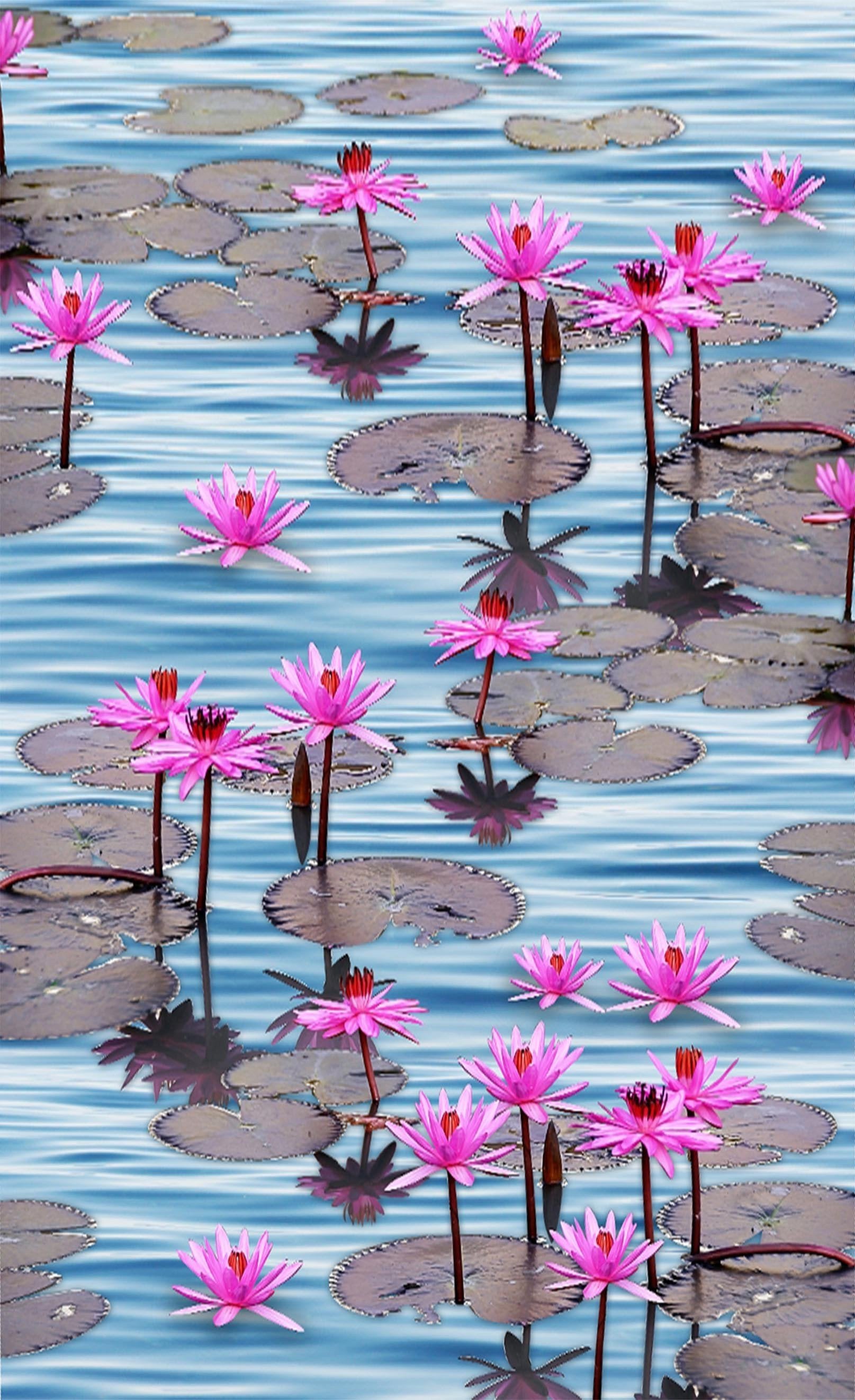 3D Beautiful Water Lily 1332 Stair Risers Wallpaper AJ Wallpaper 