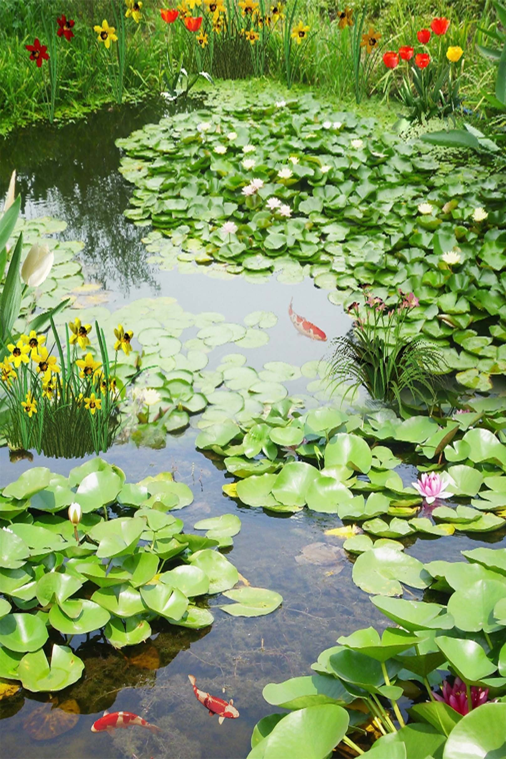 3D Pond Scenery 1334 Stair Risers Wallpaper AJ Wallpaper 