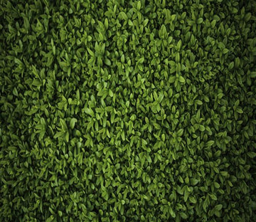 3D Green Tree Leaves 065 Wallpaper AJ Wallpaper 2 