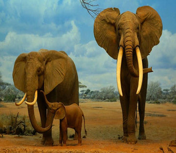 3D Elephants Family 687 Wallpaper AJ Wallpaper 