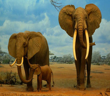 3D Elephants Family 687 Wallpaper AJ Wallpaper 