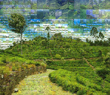 3D Green Plants Hill 787 Wallpaper AJ Wallpaper 