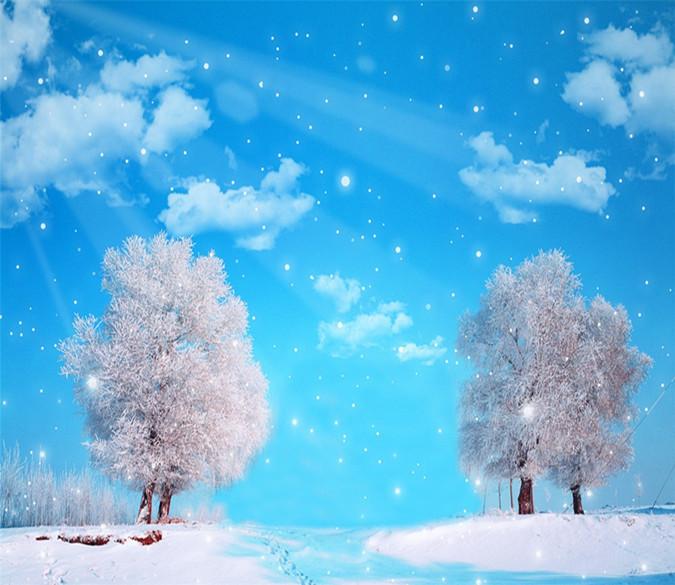3D Snow Pines Blue Sky 033 Wallpaper AJ Wallpaper 