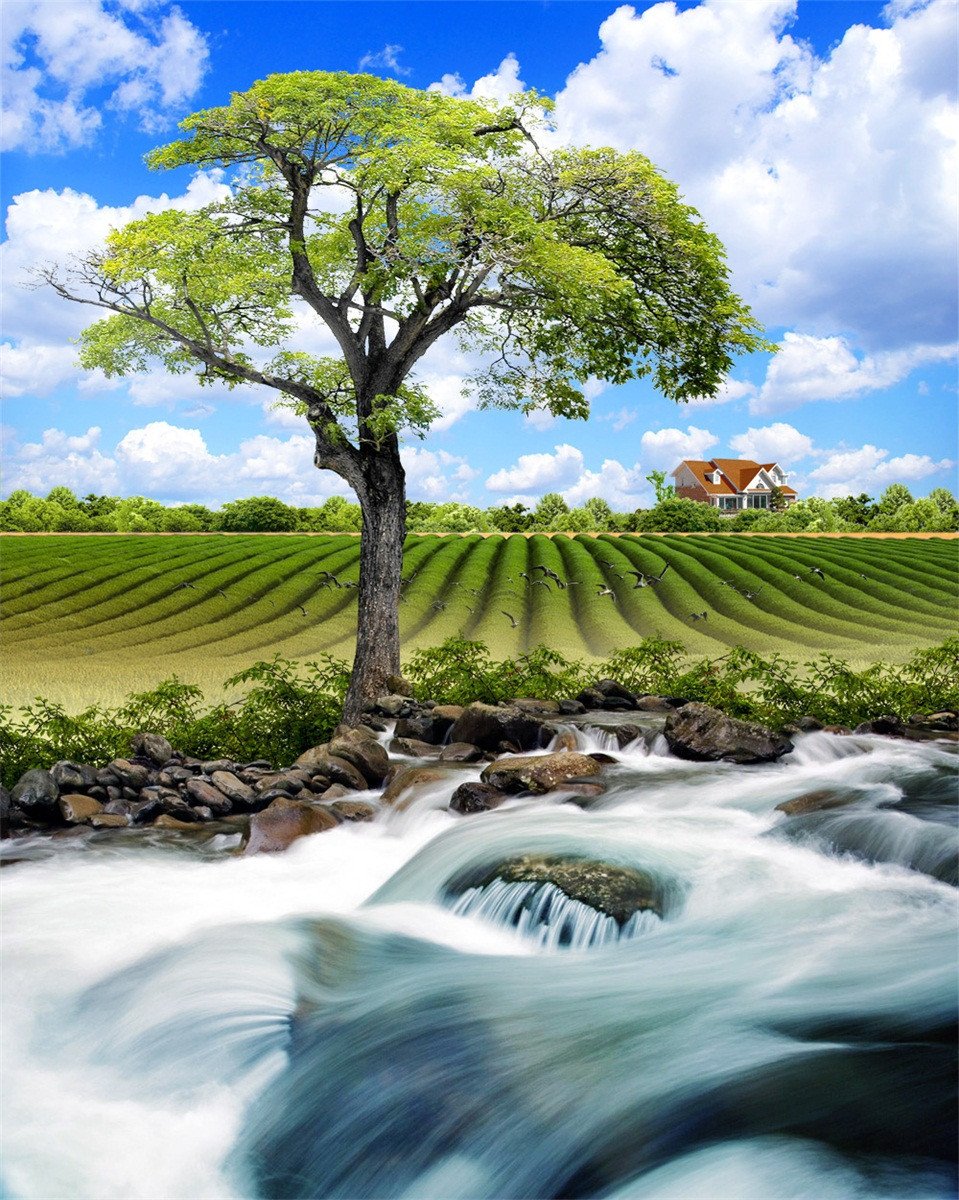 3D Riverside Tree And Farmland 384 Stair Risers Wallpaper AJ Wallpaper 