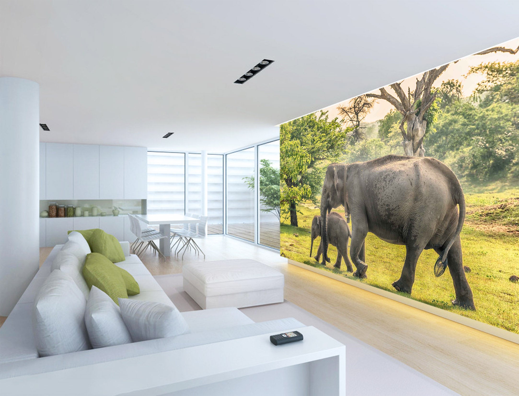 3D Elephant Family 1057 Wall Murals