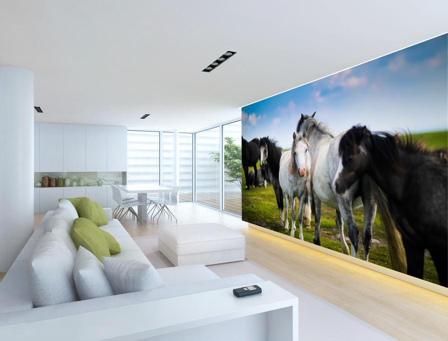 3D Prairie Horses 272 Wallpaper AJ Wallpaper 