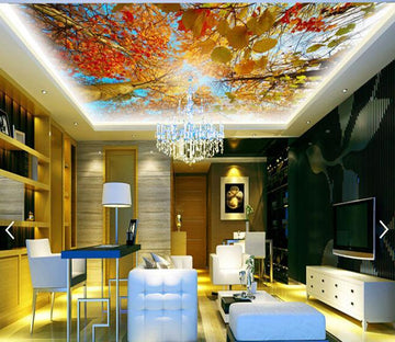 Sky Cloud Maple Tree 208 Wallpaper AJ Wallpaper 