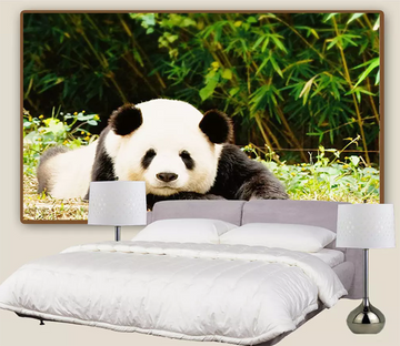 3D Panda Kneeling 1194 Wallpaper AJ Wallpaper 2 