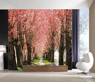 3D Roadside Tree 795 Wallpaper AJ Wallpaper 