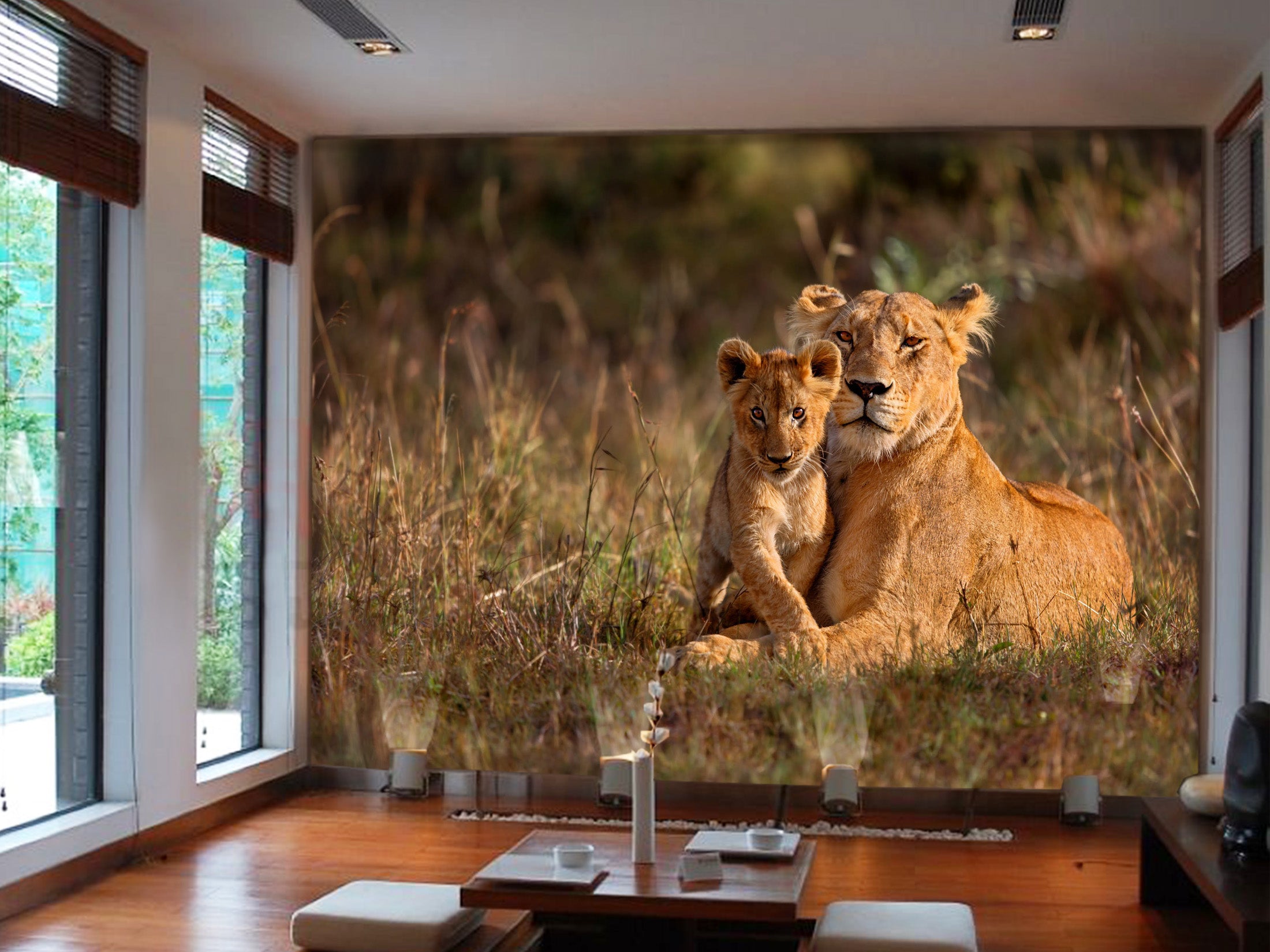 3D Lion Family 1072 Wall Murals