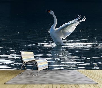 3D Lake Water Swan 068 Wallpaper AJ Wallpaper 