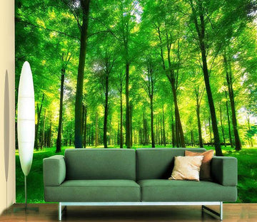 3D Shade Trees 620 Wallpaper AJ Wallpaper 