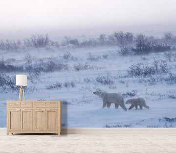 3D Polar Bear Snow 039 Wallpaper AJ Wallpaper 