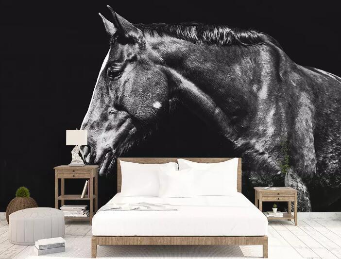 3D Black Horse WG27 Wall Murals Wallpaper AJ Wallpaper 2 