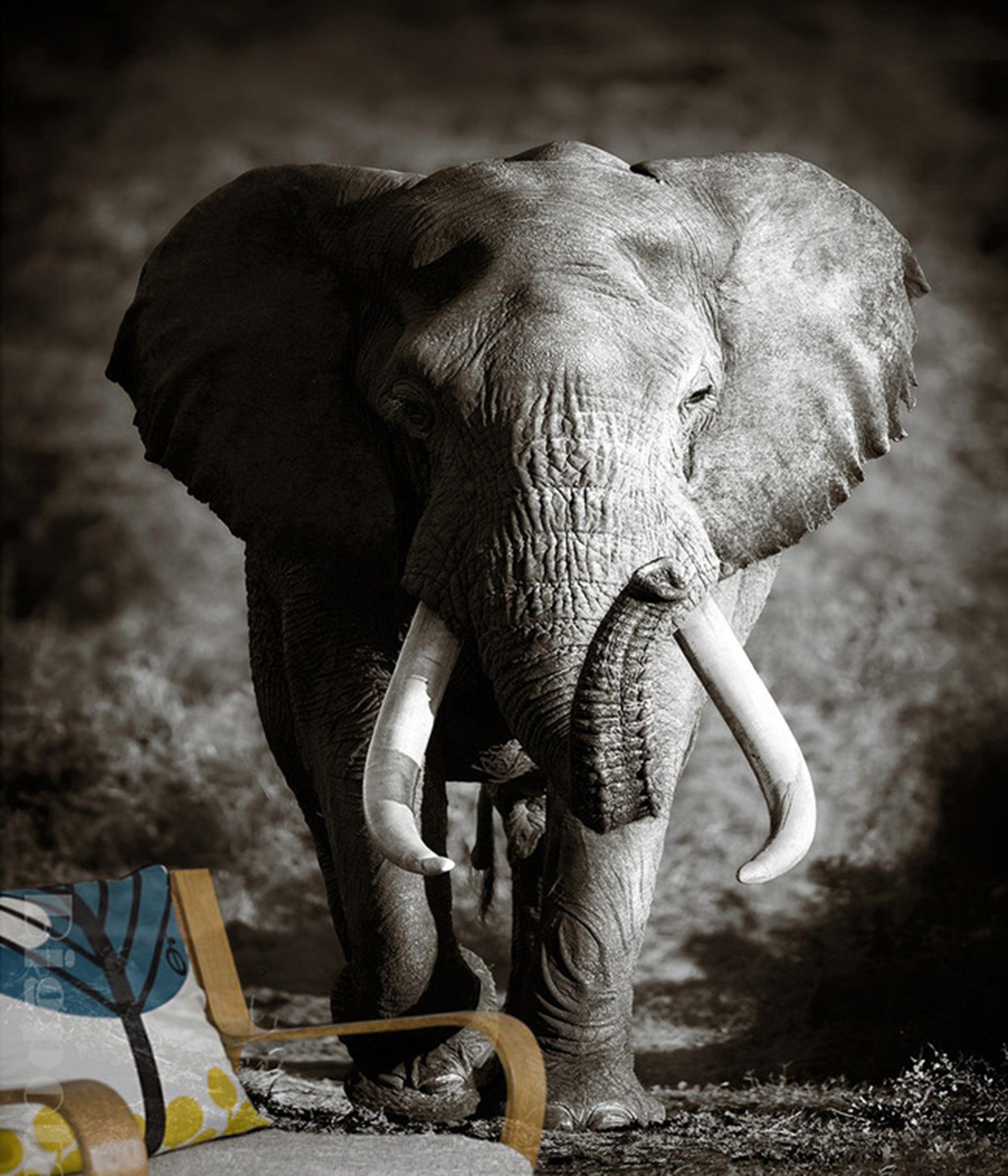 3D Steppe Elephant WG031 Wall Murals