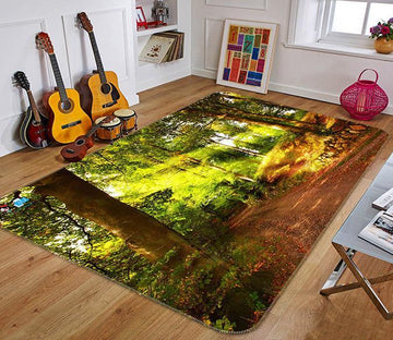 3D Sunshine Path 739 Non Slip Rug Mat Mat AJ Creativity Home 