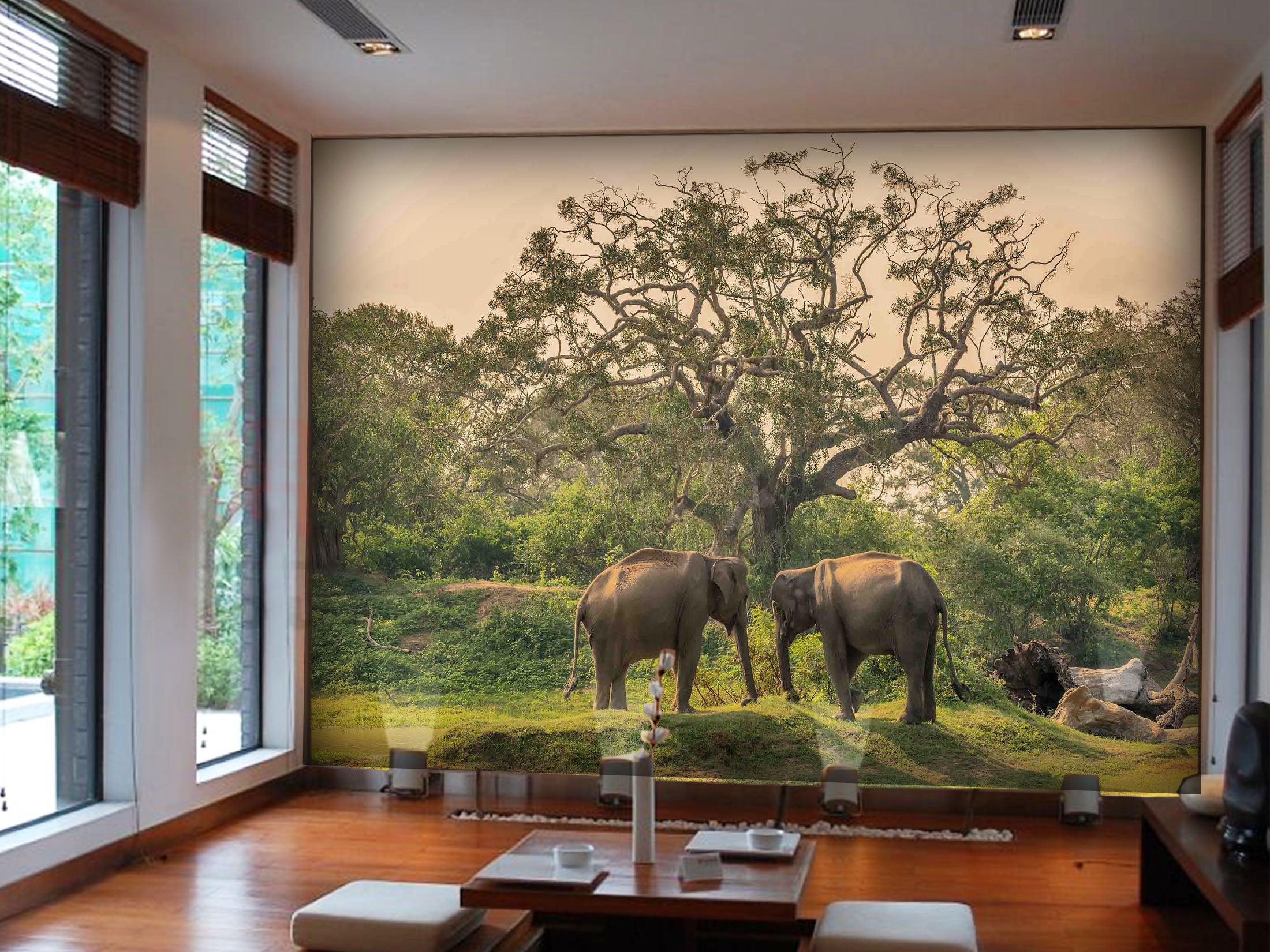 3D Elephant Family 1058 Wall Murals