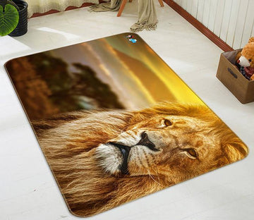 3D Lion Head 548 Non Slip Rug Mat Mat AJ Creativity Home 