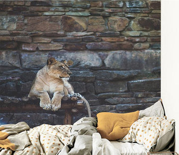 3D Lion Stone 008 Wallpaper AJ Wallpaper 