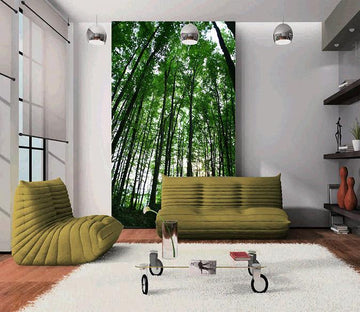 3D Deep Forest 791 Wallpaper AJ Wallpaper 