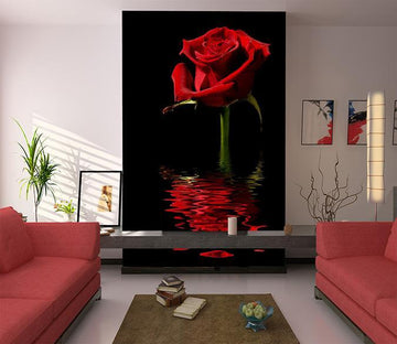 3D Rose Reflection 787 Wallpaper AJ Wallpaper 
