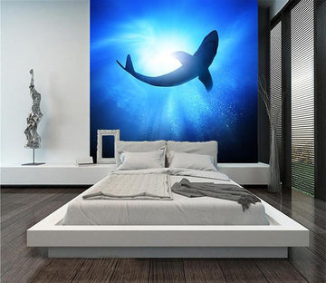 3D Backlight Shark 105 Wallpaper AJ Wallpaper 