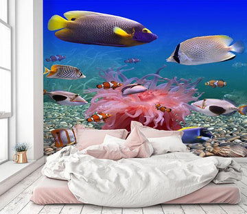 3D Seawater Fish 004 Wallpaper AJ Wallpaper 