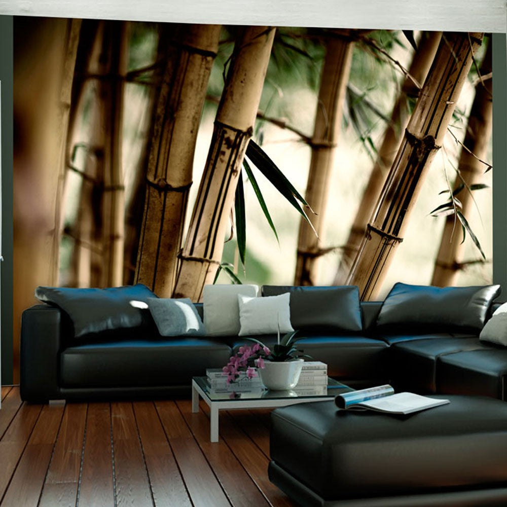 500cm wide x 220cm high Vinyl Customized Wallpaper for Harish -cobb - FROM Aliexpress