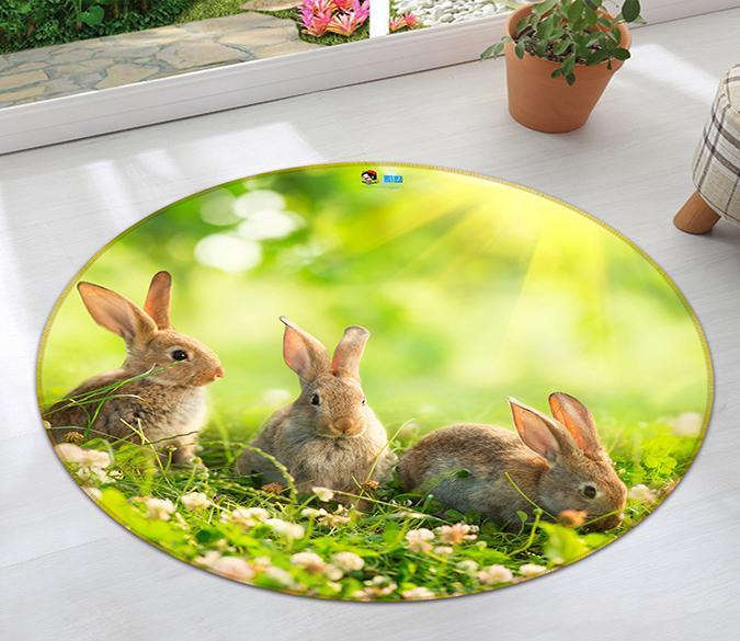 3D Cute Rabbit 006 Round Non Slip Rug Mat Mat AJ Creativity Home 