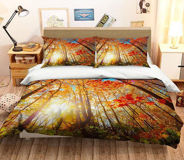 3D Sunshine Maple Grove 133 Bed Pillowcases Quilt Wallpaper AJ Wallpaper 