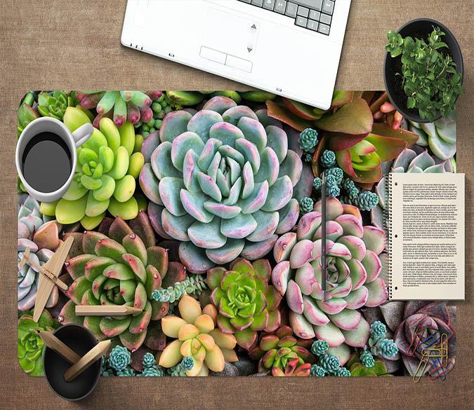 desk succulent plant 3D Succulent Plants 111 Desk Mat
