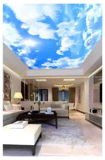 5.2m W x 2.9m H  Customized Vinyl mural for Aja - Cobb - FROM ETSY