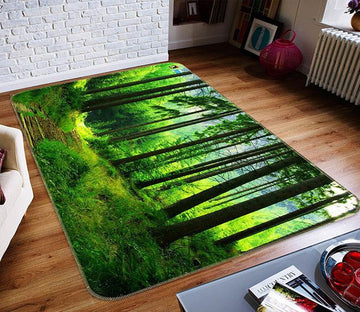 3D Forest Path 656 Non Slip Rug Mat Mat AJ Creativity Home 