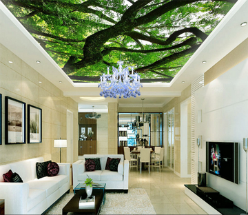 Lush Curved Tree 290 Wallpaper AJ Wallpaper 