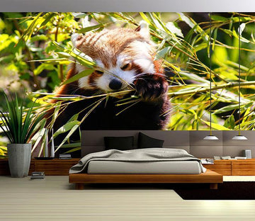 3D Panda Eating Bamboo 084 Wallpaper AJ Wallpaper 