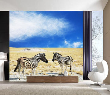 3D Sky Zebra 707 Wallpaper AJ Wallpaper 