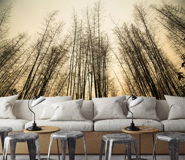 3D Night Dead Branch 1096 Wallpaper AJ Wallpaper 2 