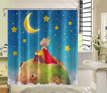 3D Little Prince 112 Shower Curtain 3D Shower Curtain AJ Creativity Home 