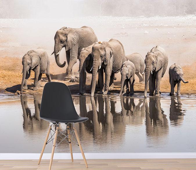 3D Elephant River 016 Wallpaper AJ Wallpaper 