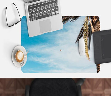 3D Seagull Coconuts 051 Desk Mat Mat AJ Creativity Home 