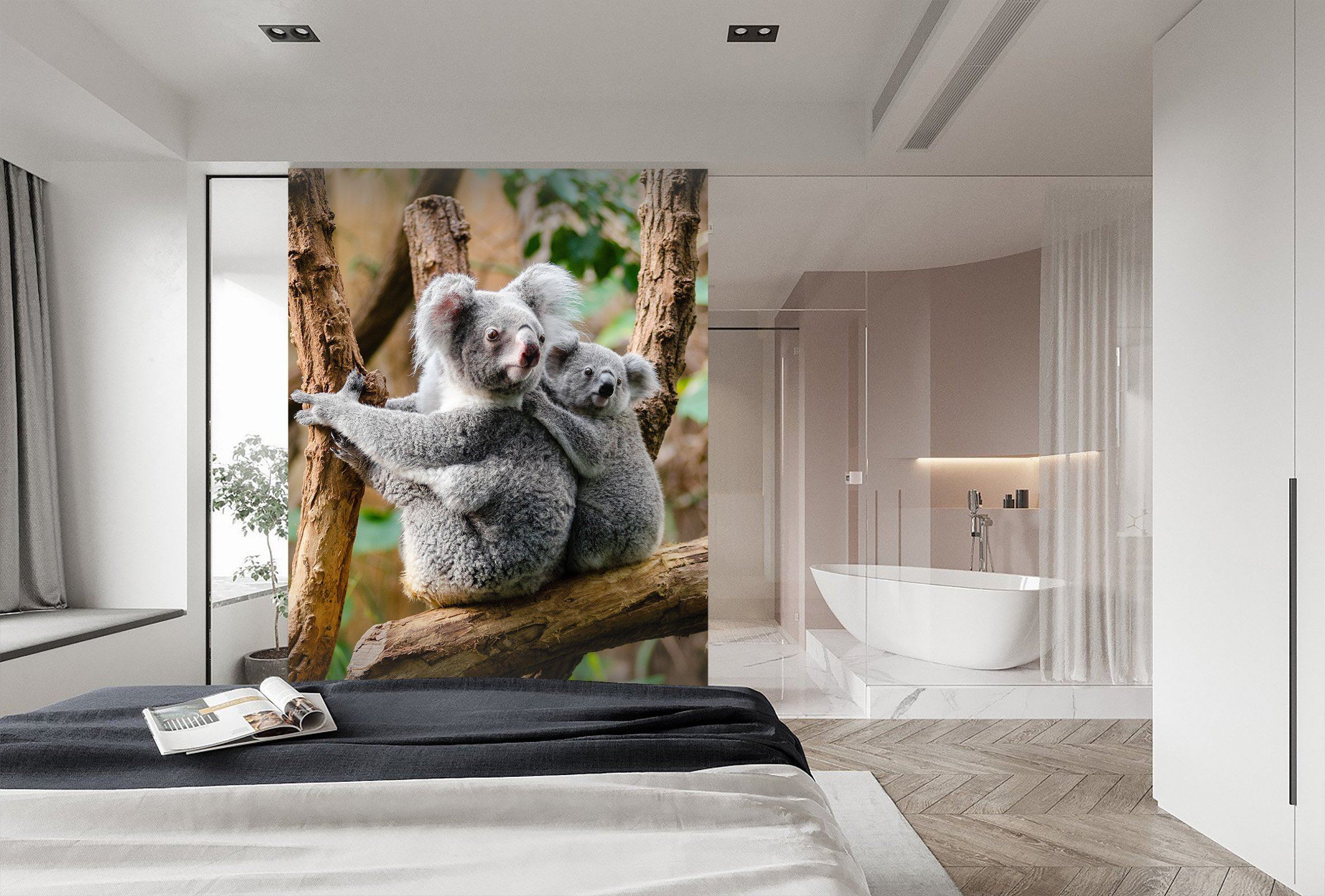 3D Australia Koala 659 Wallpaper AJ Wallpaper 