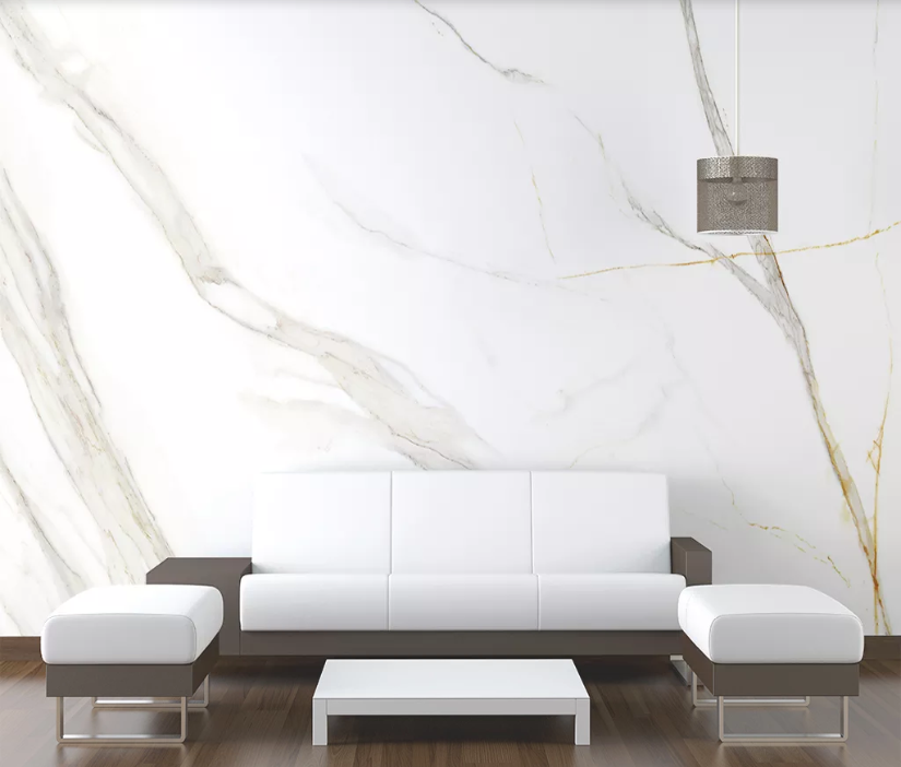 3D White Background WC2071 Wall Murals