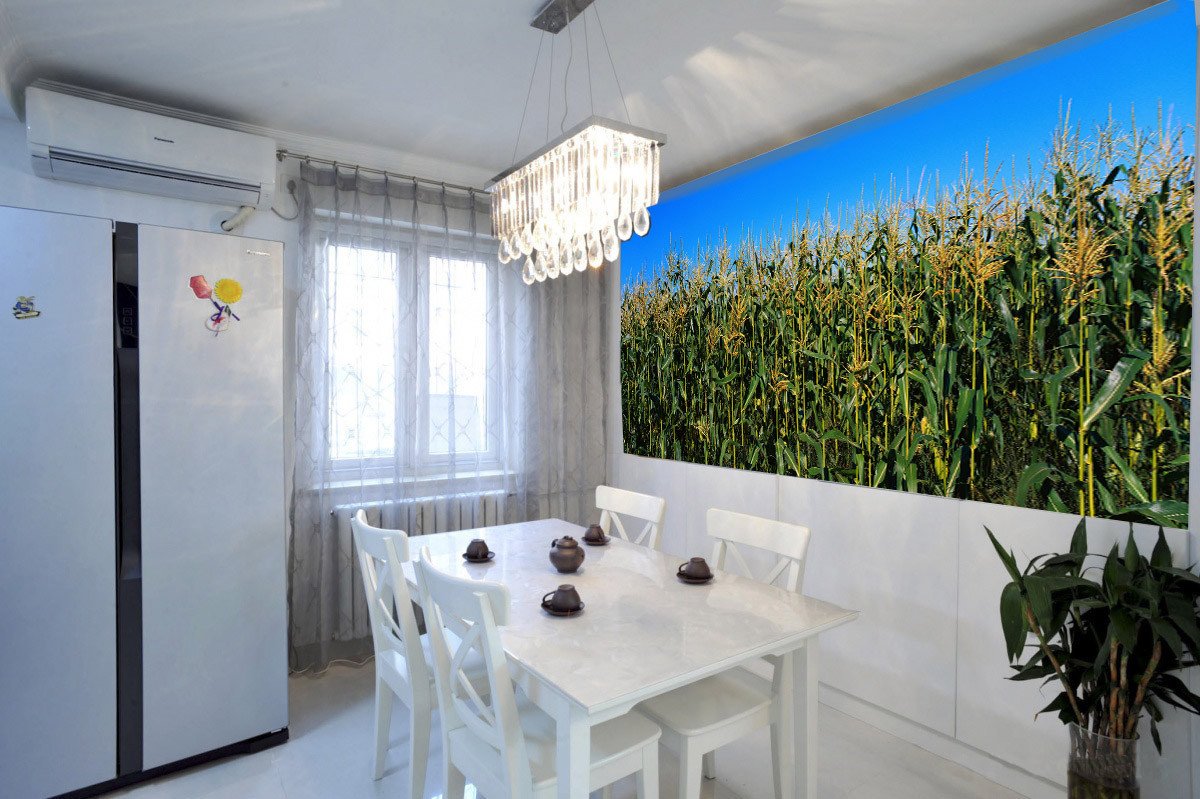 Cornfield Wallpaper AJ Wallpaper 