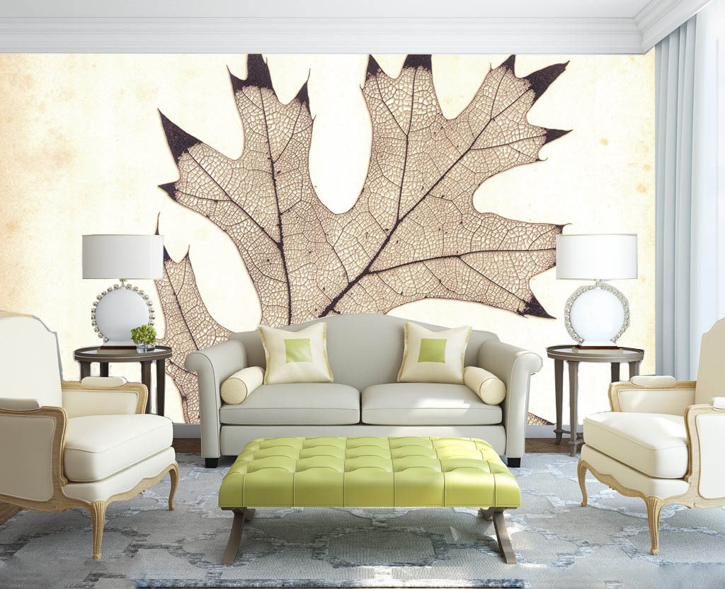 Maple Leaf Specimen Wallpaper AJ Wallpaper 